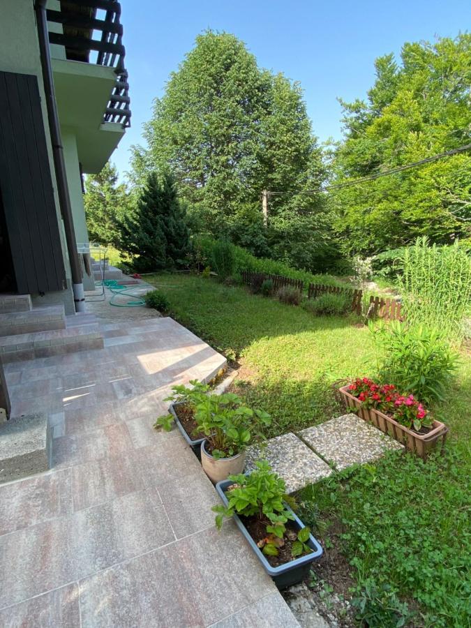Apartments Vjeverica Zelin Mrzlovodicki Exterior foto
